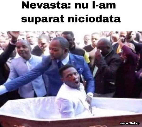 Nu l-am suparat niciodata poze haioase