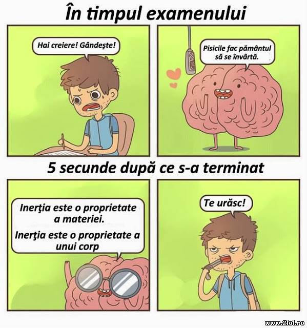 Creierul în timpul examenului poze haioase