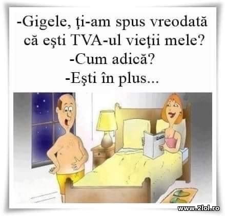 Gigele, ti-am spus ca esti TVA-ul vietii mele? poze haioase
