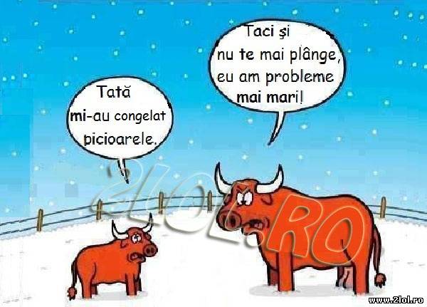 Da, chiar că are probleme mai mari poze haioase