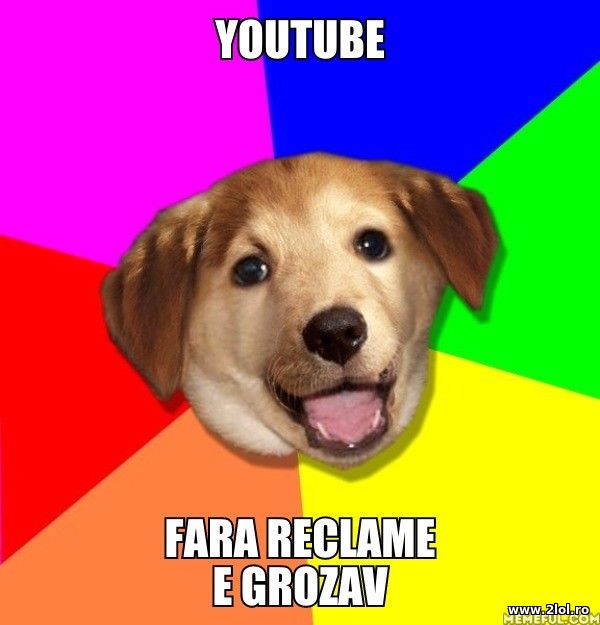 YouTube fara reclame e grozav poze haioase