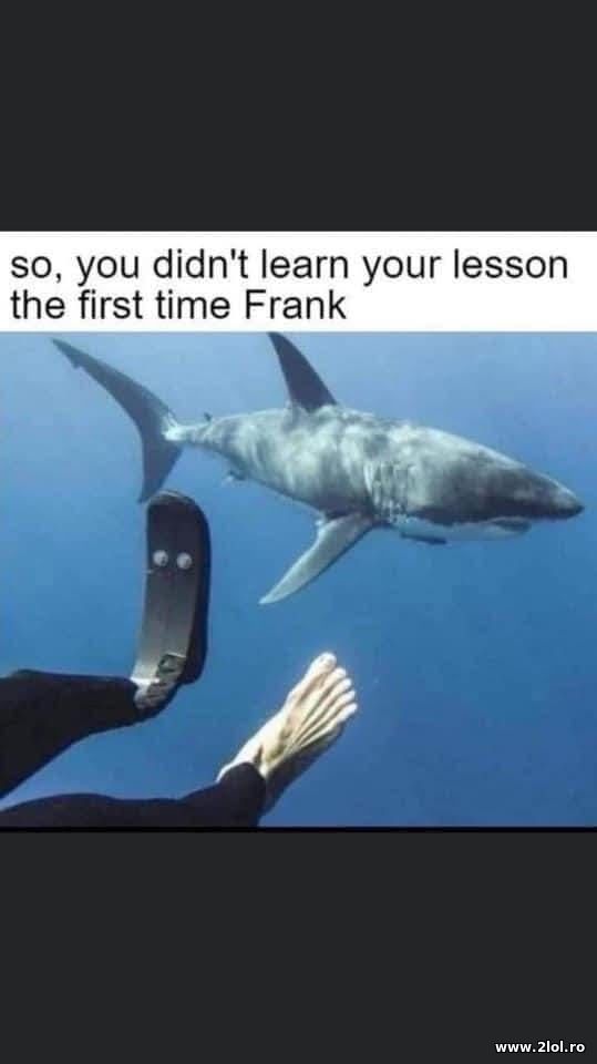 So you didn't learn your lesson poze haioase