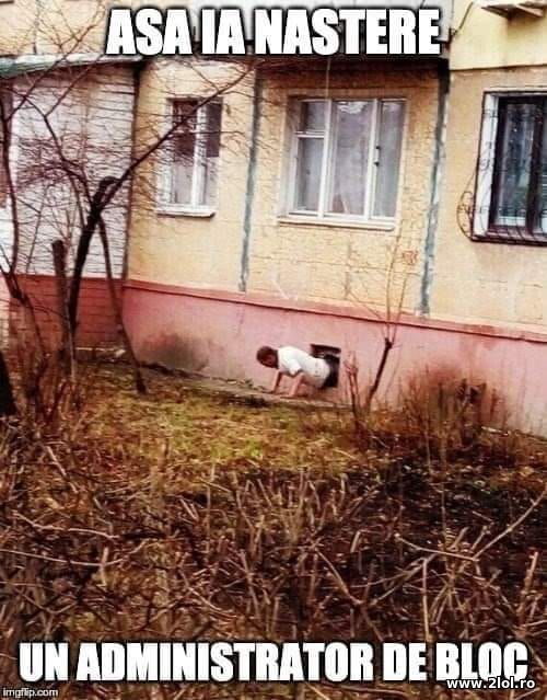 Asa ia nastere un administrator de bloc poze haioase