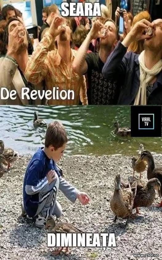 Seara de Revelion si dimineata poze haioase