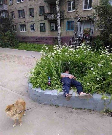 A obosit de la primbare poze haioase