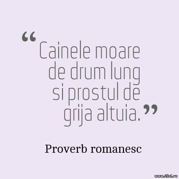 Prostul moare de grija altuia poze haioase