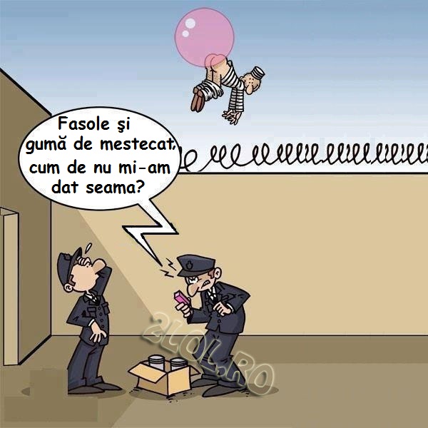 Orice problemă poate fi rezolvată poze haioase