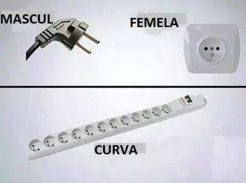 Masculul, femela şi poze haioase