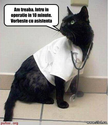 I-o fi zis că n-are bani poze haioase