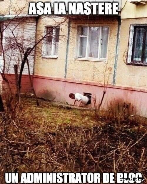 Asa ia nastere un administrator de bloc poze haioase