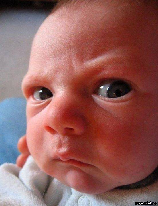 Ce te uiţi aşa la mine? poze haioase