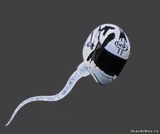 Vitezomanii în tinerețe poze haioase