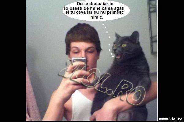 Pe pisica asta chiar o duce capul poze haioase