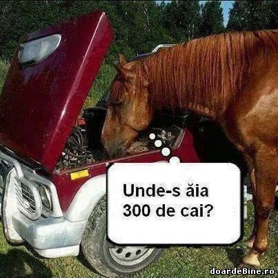 Unde ziceai că-s ăia 300 de cai? poze haioase