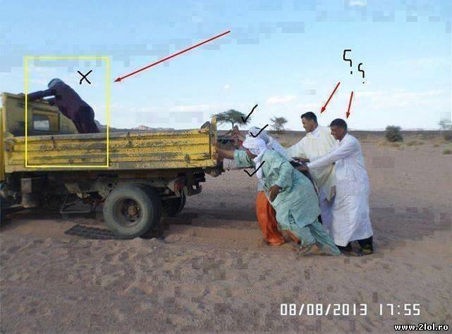 Se vede cui îi place munca poze haioase