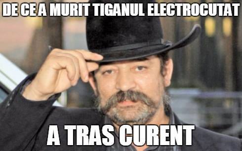 A tras curent poze haioase