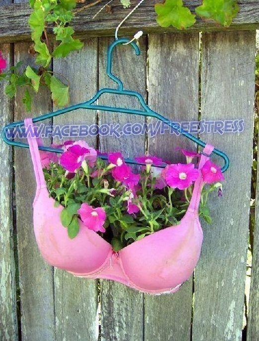 Ce inseamna sa fi savant poze haioase