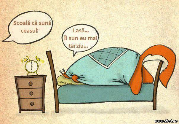 Când sună ceasul poze haioase