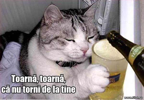 Toarnă, că nu torni de la tine poze haioase