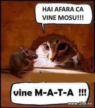 Hai afara ca vine Mosu poze haioase