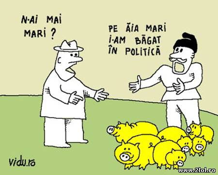 Unde sunt porcii mari poze haioase