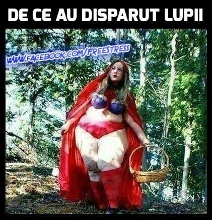 de ce au disparut lupii poze haioase