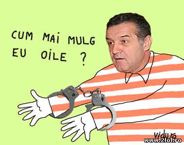 Asta da dilemă, ce o să facă acum? poze haioase