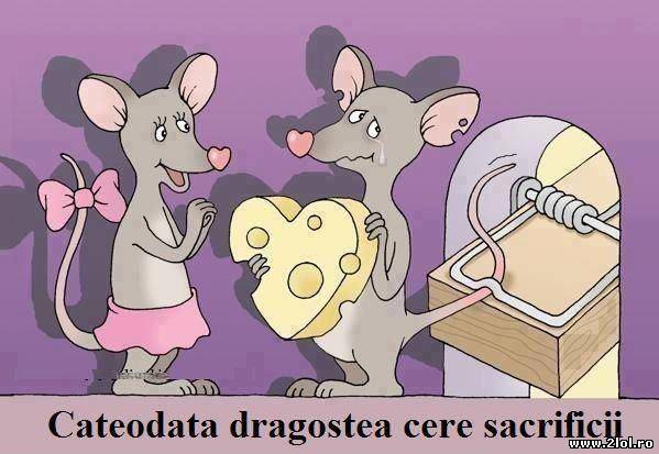 Dragostea cere sacrificii poze haioase