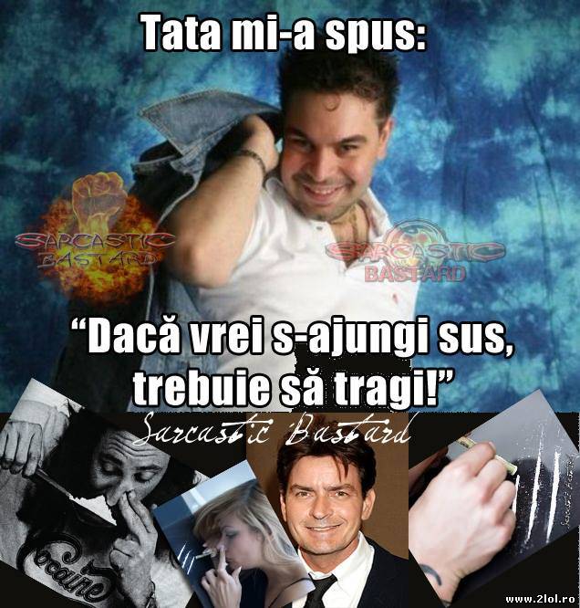 Dacă vrei să ajungi sus, by Florin Salam poze haioase