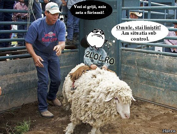 Unii sunt curajoși de mici poze haioase