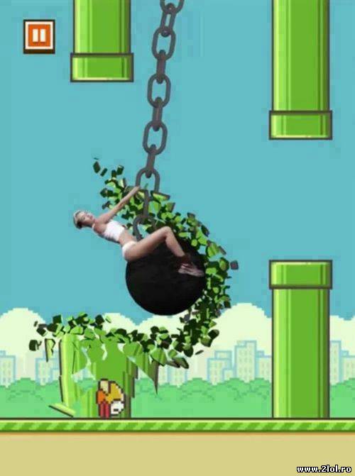 Miley Cyrus a aflat de Flapy Bird poze haioase