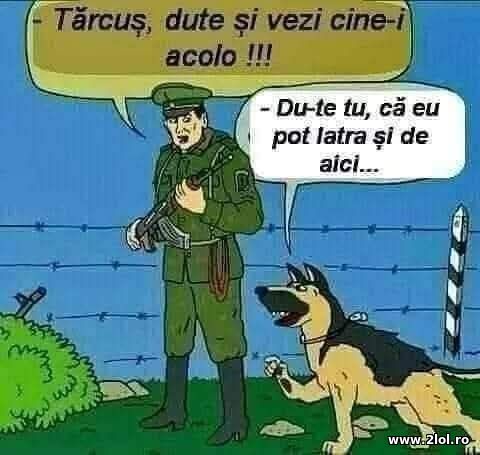 Du-te sa vezi cine-i acolo poze haioase
