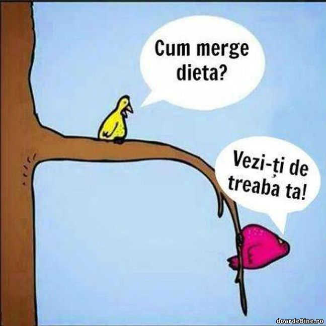 Cum merge dieta poze haioase