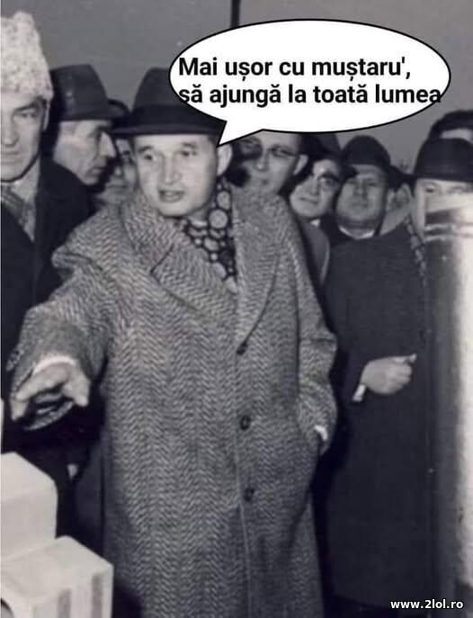 Mai usor cu mustarul poze haioase