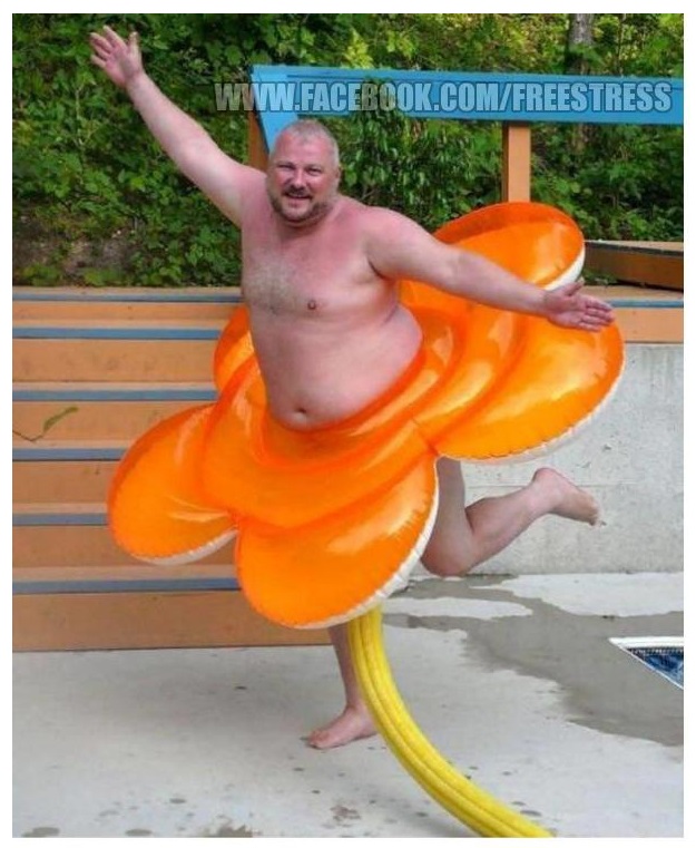 Let's Party ! poze haioase