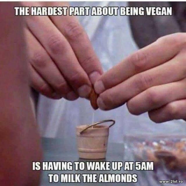 The hardest part about being vegan poze haioase