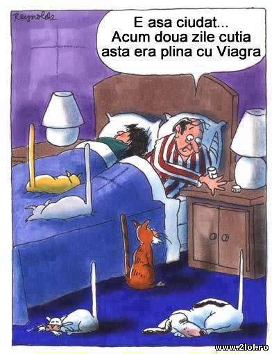 Unde au dispărut pastilele viagra? poze haioase
