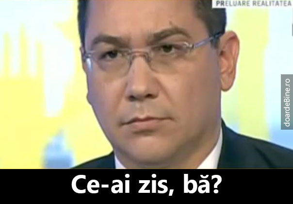 Ce-ai zis, bă? poze haioase