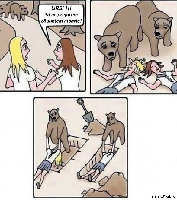 Când vezi urși și te prefaci că ești mort poze haioase