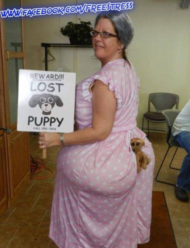 Pierdut Catel poze haioase