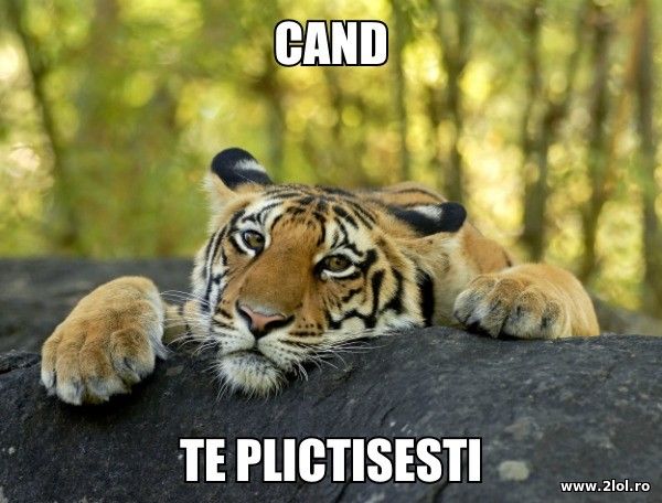 Cand te plictisesti poze haioase