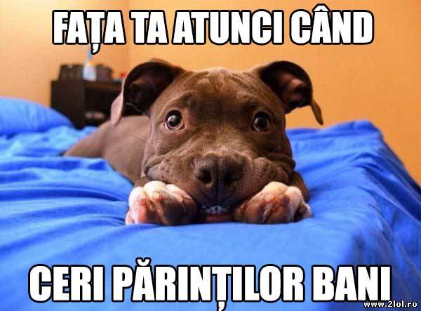 Momentul acela când ceri părinților bani poze haioase