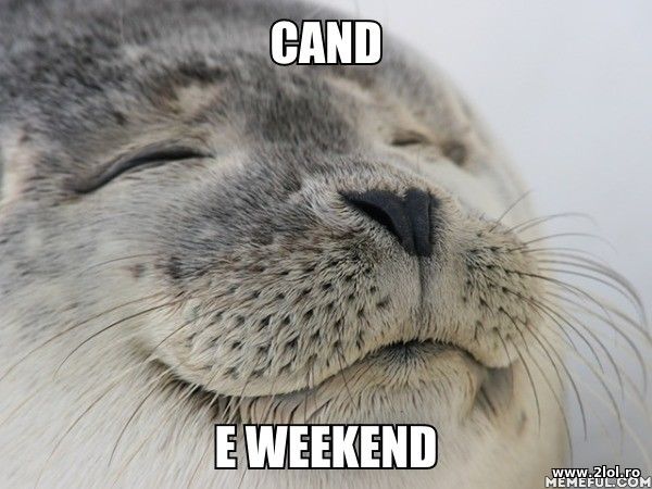 Cand e weekend poze haioase