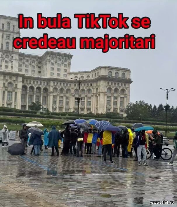 TikTok vs realitatea poze haioase
