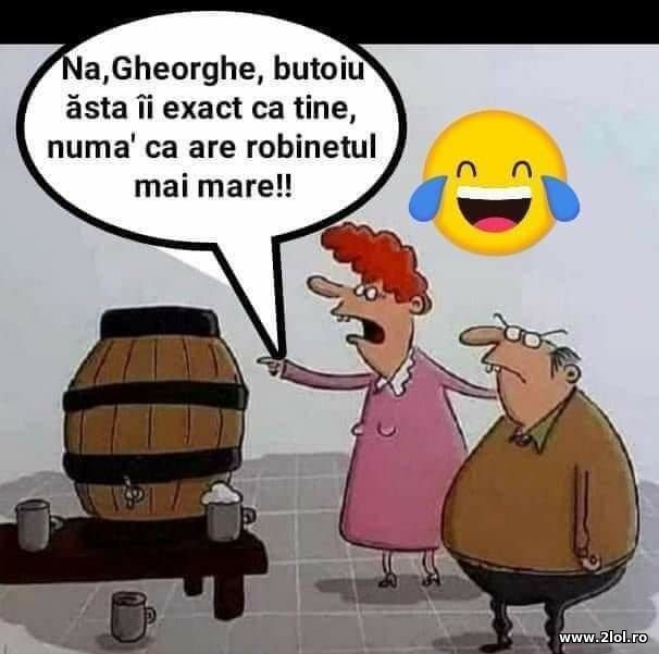 Butoiul poze haioase