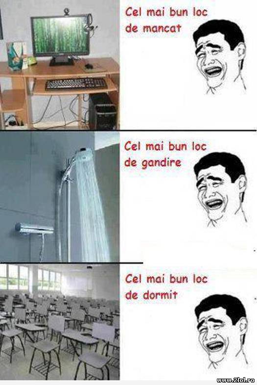 Cel mai bun loc de gândire,mâncat și de dormit poze haioase