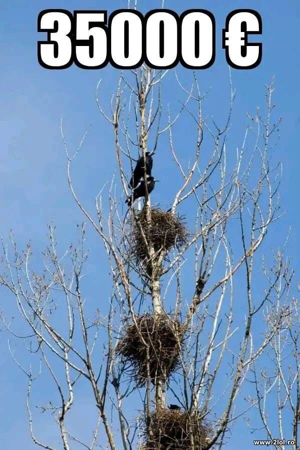 Casa la 35.000 de euro poze haioase