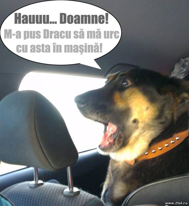 Când te cară o femeie poze haioase