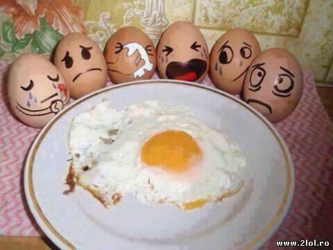 Ouăle, când unul de-al lor cade poze haioase