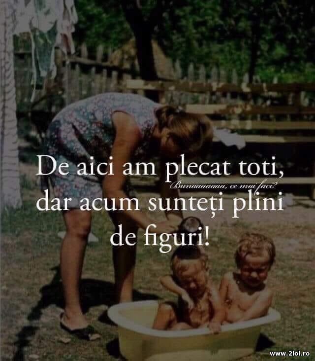 De aici am plecat toti, dar acum plini de figuri poze haioase